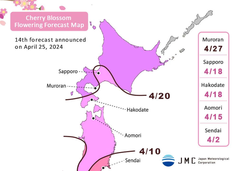 jadwal-sakura-mekar-jepang-2025